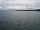 thumbs/NZ_Riki_0281.jpg