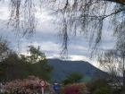 thumbs/NZ_Riki_0282.jpg