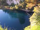 thumbs/NZ_Riki_0283.jpg