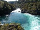 thumbs/NZ_Riki_0284.jpg