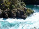 thumbs/NZ_Riki_0285.jpg