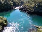 thumbs/NZ_Riki_0289.jpg