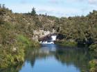 thumbs/NZ_Riki_0290.jpg