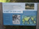 thumbs/NZ_Riki_0293.jpg