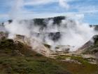 thumbs/NZ_Riki_0298.jpg