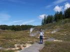 thumbs/NZ_Riki_0299.jpg