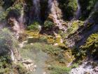 thumbs/NZ_Riki_0302.jpg