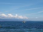 thumbs/NZ_Riki_0308.jpg