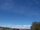 thumbs/NZ_Riki_0309.jpg