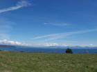 thumbs/NZ_Riki_0310.jpg