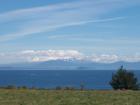 thumbs/NZ_Riki_0311.jpg