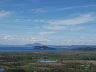 thumbs/NZ_Riki_0313.jpg