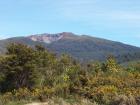 thumbs/NZ_Riki_0314.jpg