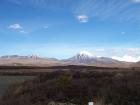 thumbs/NZ_Riki_0316.jpg