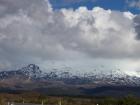 thumbs/NZ_Riki_0317.jpg