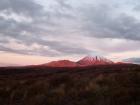 thumbs/NZ_Riki_0320.jpg