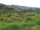 thumbs/NZ_Riki_0381.jpg