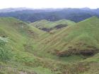 thumbs/NZ_Riki_0386.jpg