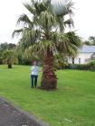 thumbs/NZ_Riki_0394.jpg