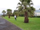 thumbs/NZ_Riki_0395.jpg
