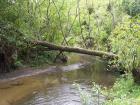 thumbs/NZ_Riki_0419.jpg