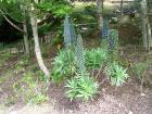 thumbs/NZ_Riki_0422.jpg