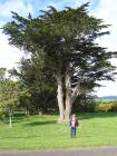 thumbs/NZ_Riki_0424.jpg