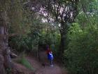 thumbs/NZ_Riki_0426.jpg