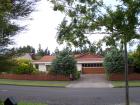 thumbs/NZ_Riki_0428.jpg