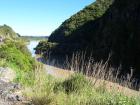 thumbs/NZ_Riki_0429.jpg