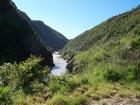 thumbs/NZ_Riki_0430.jpg