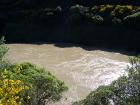 thumbs/NZ_Riki_0431.jpg