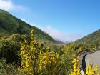 thumbs/NZ_Riki_0432.jpg