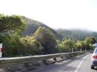 thumbs/NZ_Riki_0433.jpg