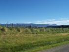 thumbs/NZ_Riki_0434.jpg