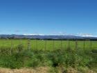 thumbs/NZ_Riki_0437.jpg