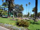 thumbs/NZ_Riki_0449.jpg