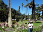 thumbs/NZ_Riki_0450.jpg