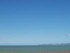 thumbs/NZ_Riki_0458.jpg
