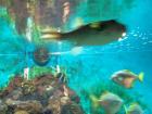 thumbs/NZ_Riki_0475.jpg