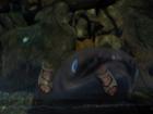 thumbs/NZ_Riki_0478.jpg