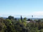 thumbs/NZ_Riki_0495.jpg