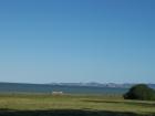 thumbs/NZ_Riki_0498.jpg