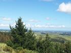 thumbs/NZ_Riki_0502.jpg