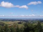thumbs/NZ_Riki_0503.jpg