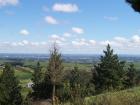 thumbs/NZ_Riki_0504.jpg