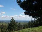 thumbs/NZ_Riki_0505.jpg