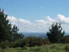 thumbs/NZ_Riki_0506.jpg