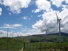thumbs/NZ_Riki_0510.jpg