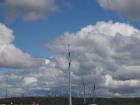 thumbs/NZ_Riki_0512.jpg